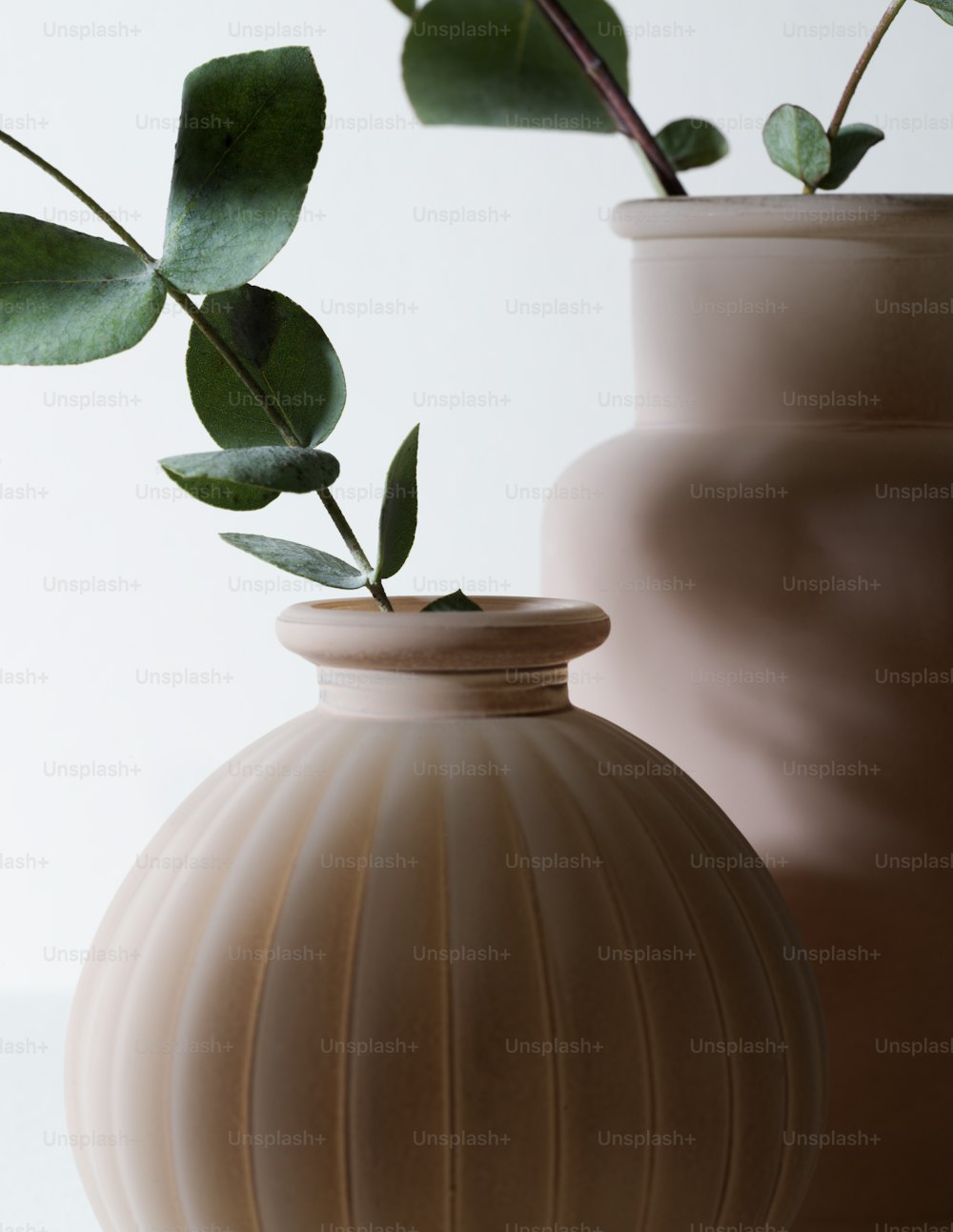 zwei Vasen mit Pflanzen darin auf einem Tisch