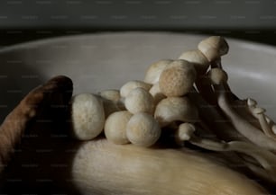 a bunch of mushrooms sitting on top of a banana