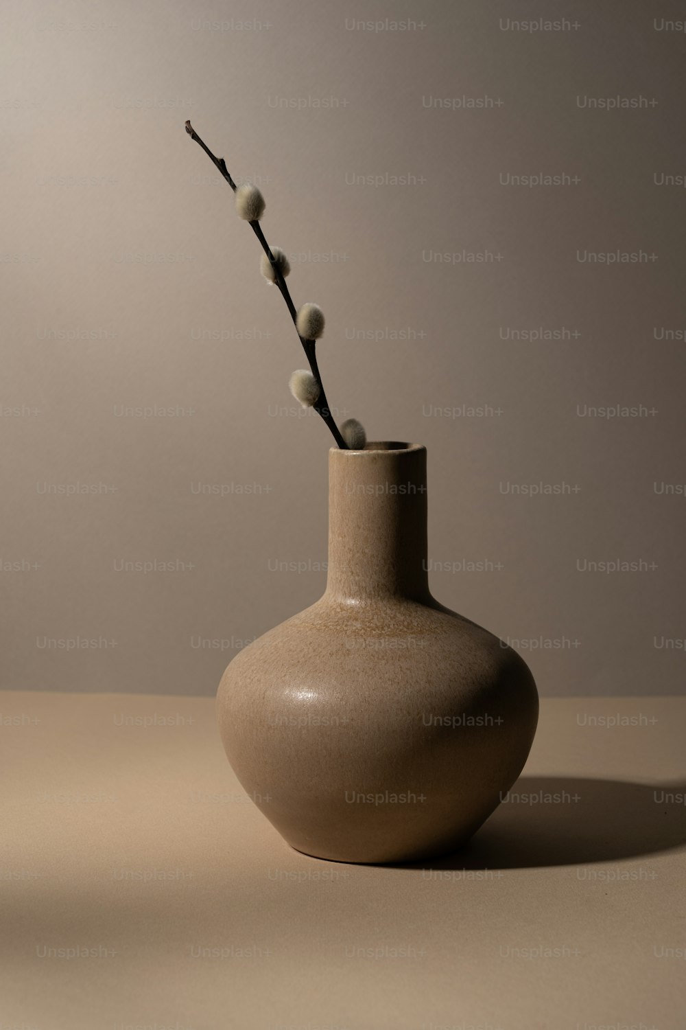 eine weiße Vase, aus der ein Zweig herausragt;