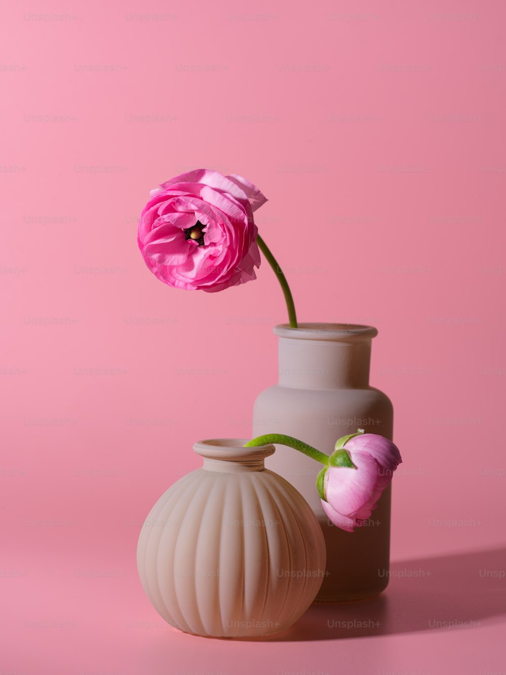a pink flower is in a white vase
