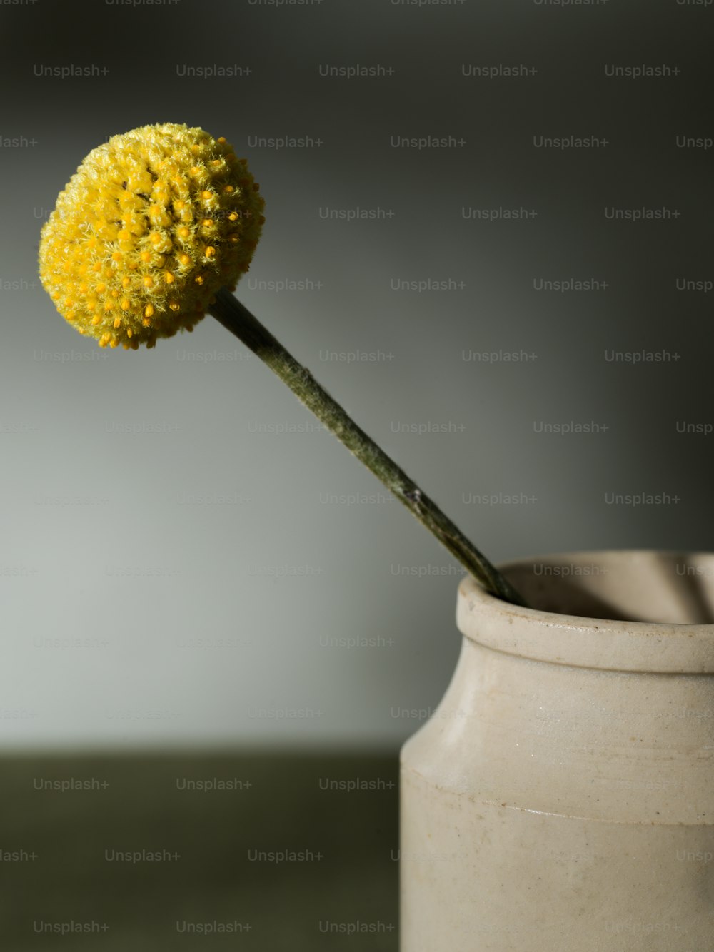 a yellow flower sticking out of a white vase