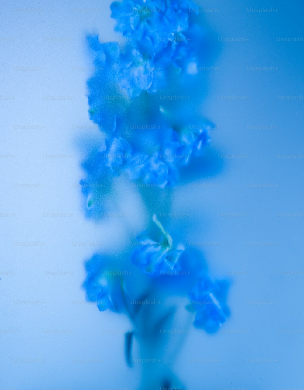 파란 꽃이 탁자 위의 꽃병에 있다
