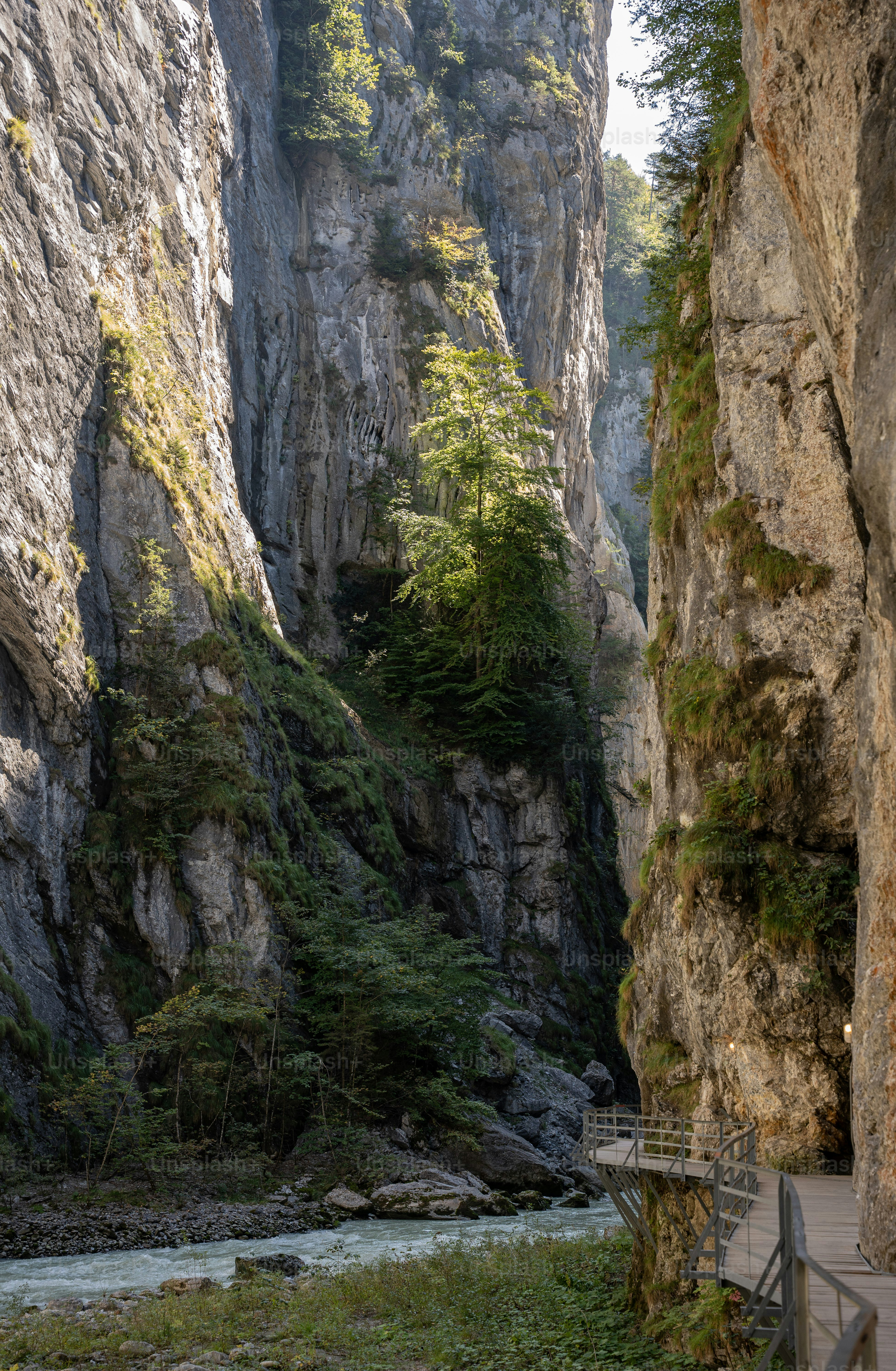 Una passerella di legno conduce ad uno stretto canyon