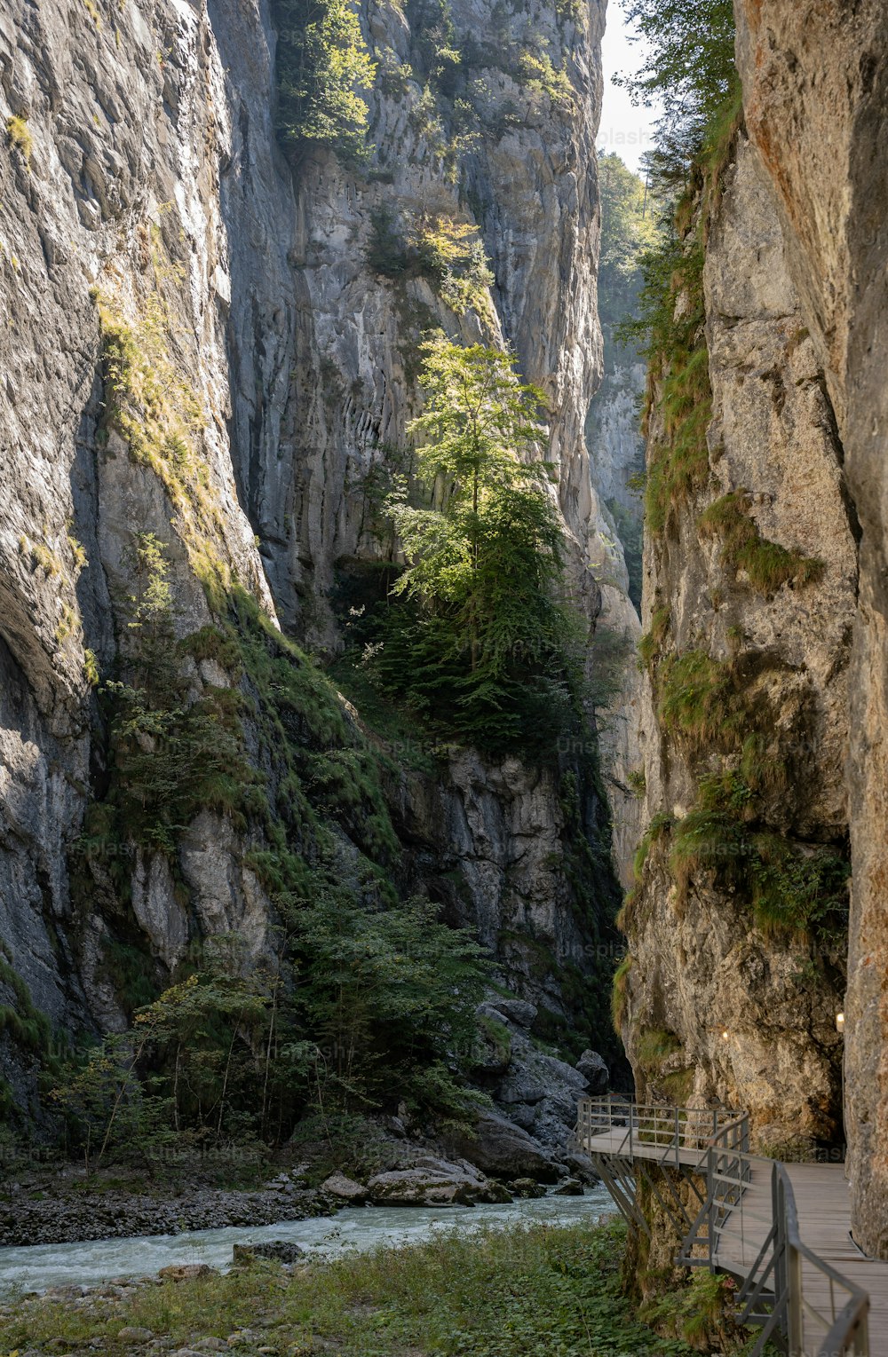 a wooden walkway leads to a narrow canyon