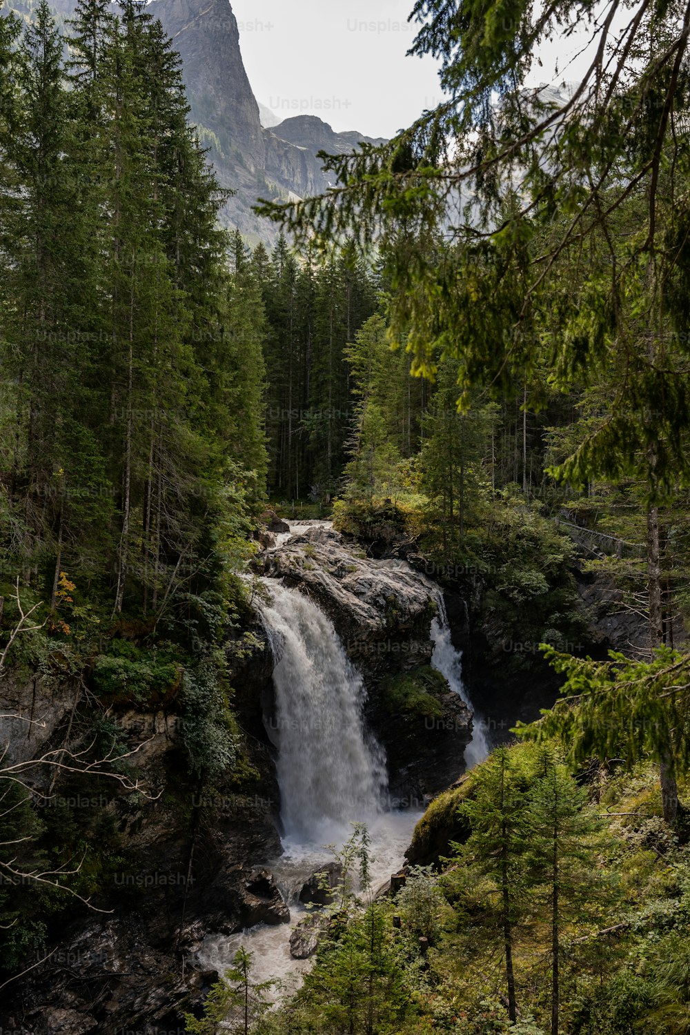 a waterfall in the middle of a forest