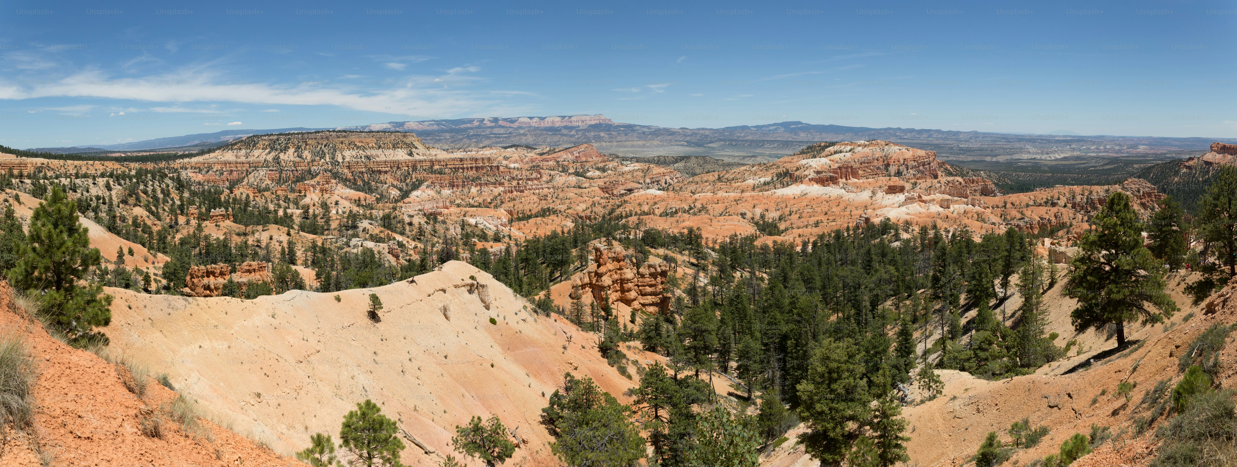 una vista panoramica sulle montagne e sugli alberi