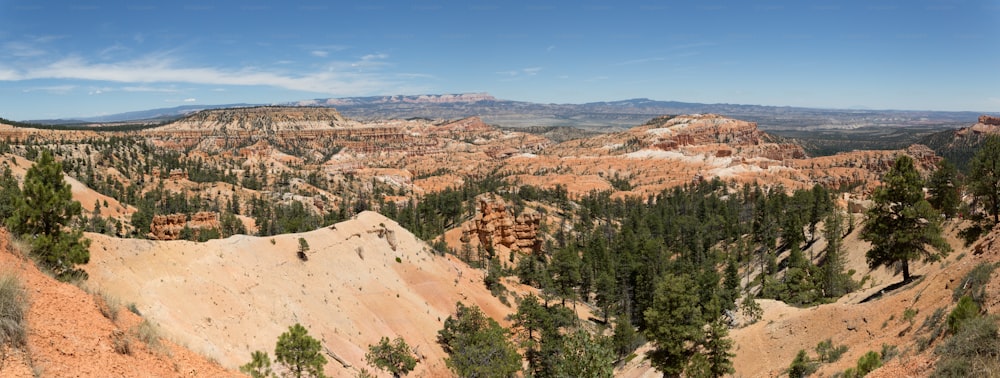 una vista panoramica sulle montagne e sugli alberi