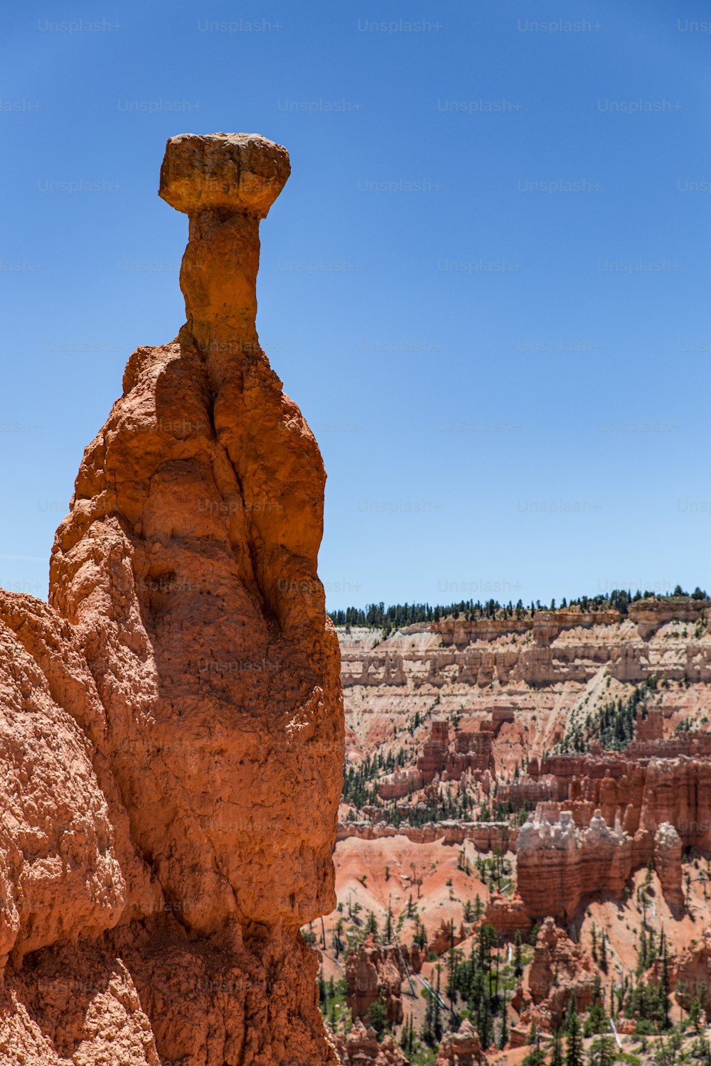 Una formazione rocciosa nel mezzo di un canyon