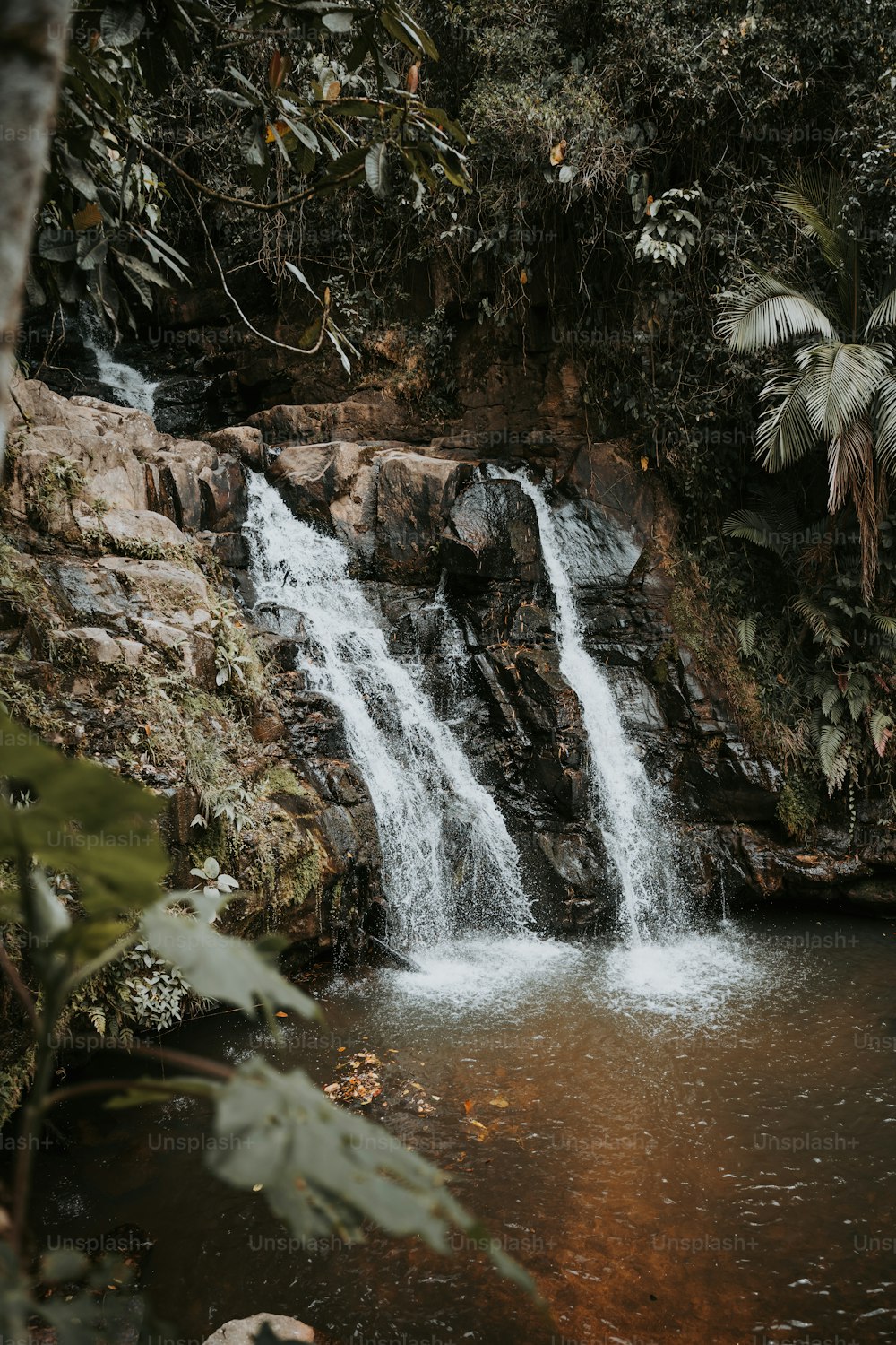 uma pequena cachoeira no meio de uma selva