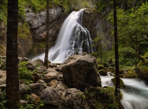 a waterfall in the middle of a forest