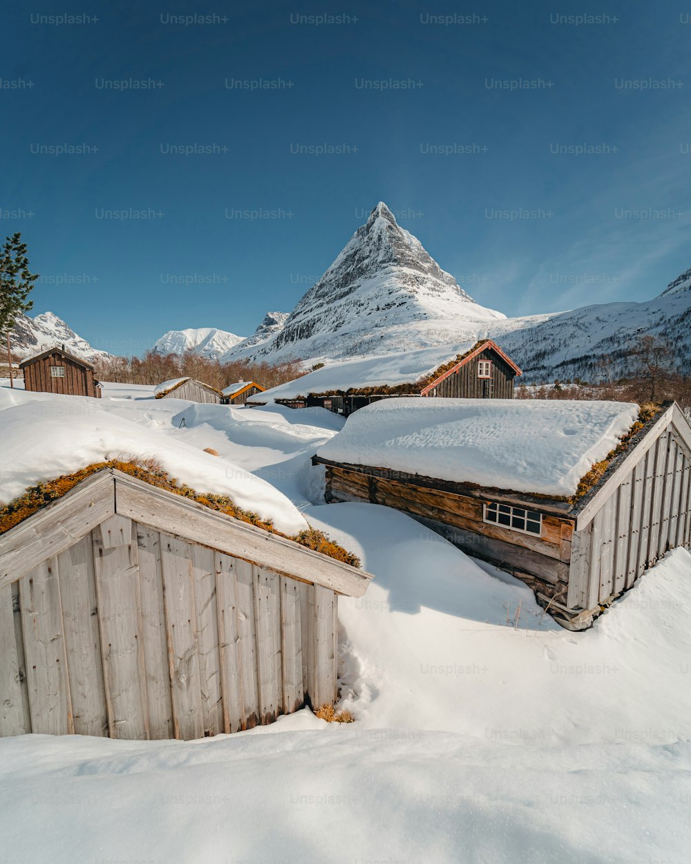 a snowy landscape with a mountain in the background