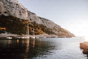 Un gruppo di barche galleggianti in cima a uno specchio d'acqua