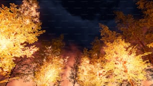 eine Gruppe von Bäumen, die nachts beleuchtet werden