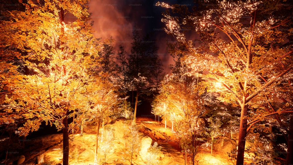 ein Wald voller Bäume neben einem Feuer