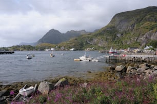 a body of water with boats in it