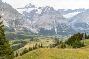 uma vista panorâmica de um vale com montanhas ao fundo