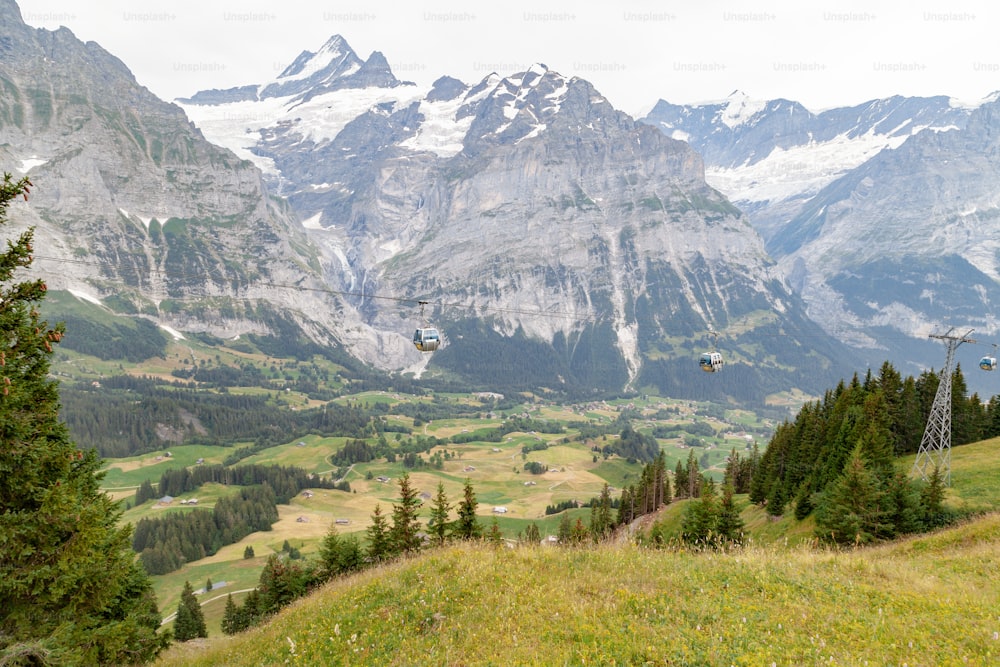 a scenic view of a valley with mountains in the background