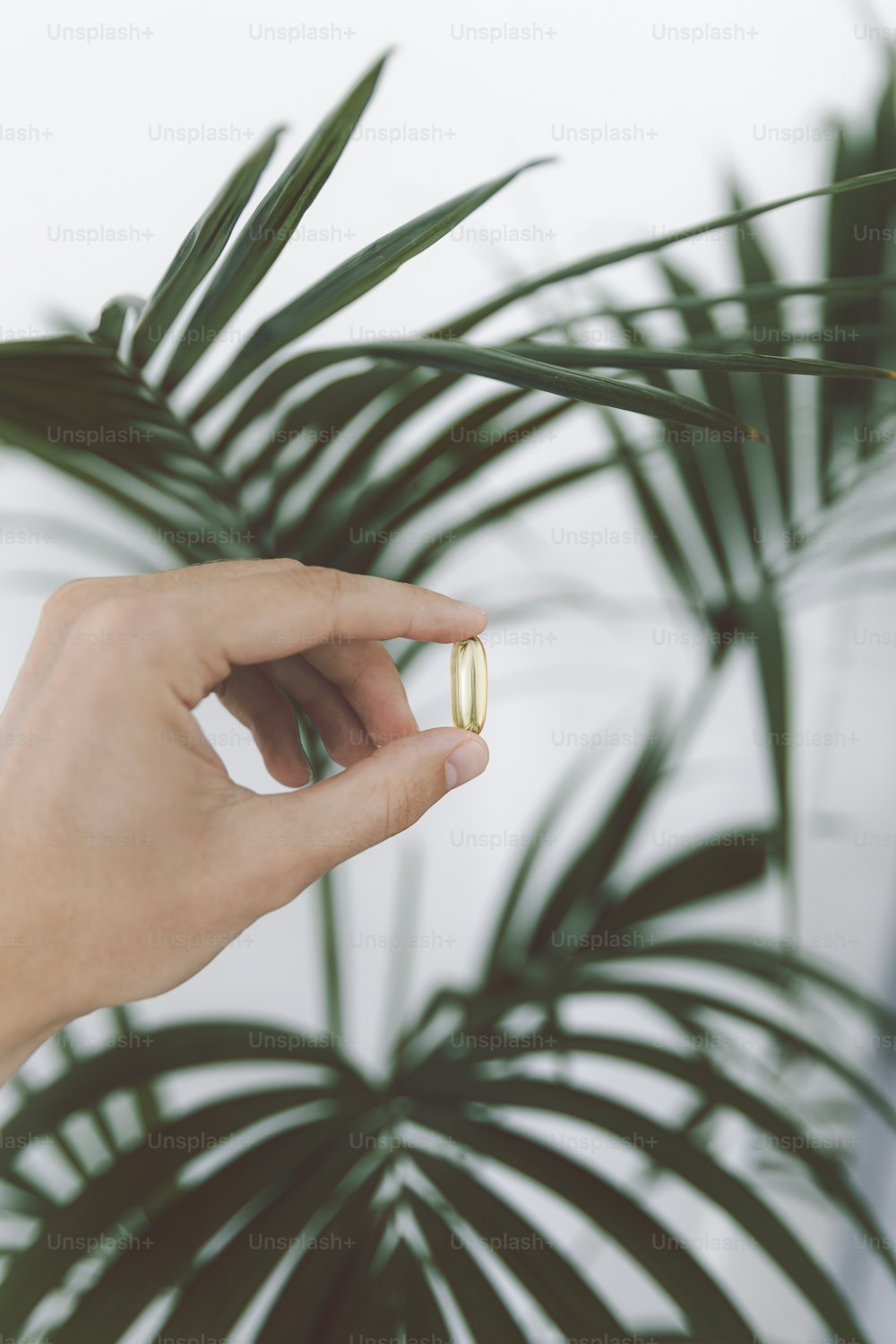 a person's hand holding a ring in front of a plant