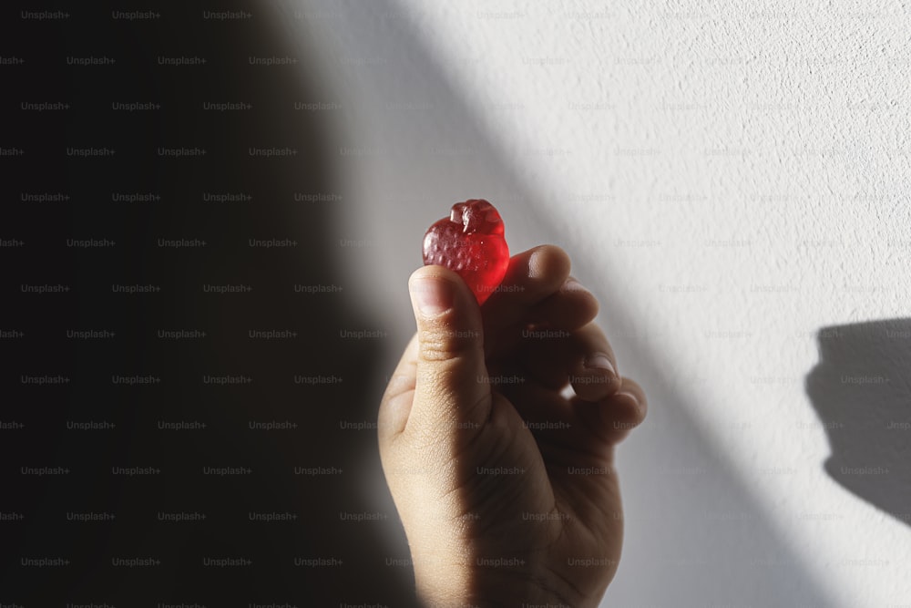 a person holding a raspberry in their hand