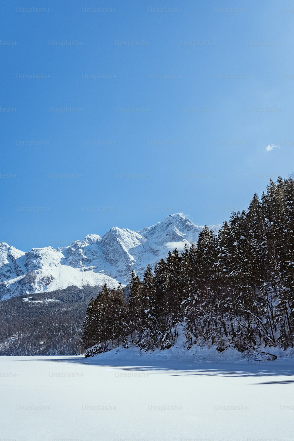 a snowy landscape with trees and mountains in the background