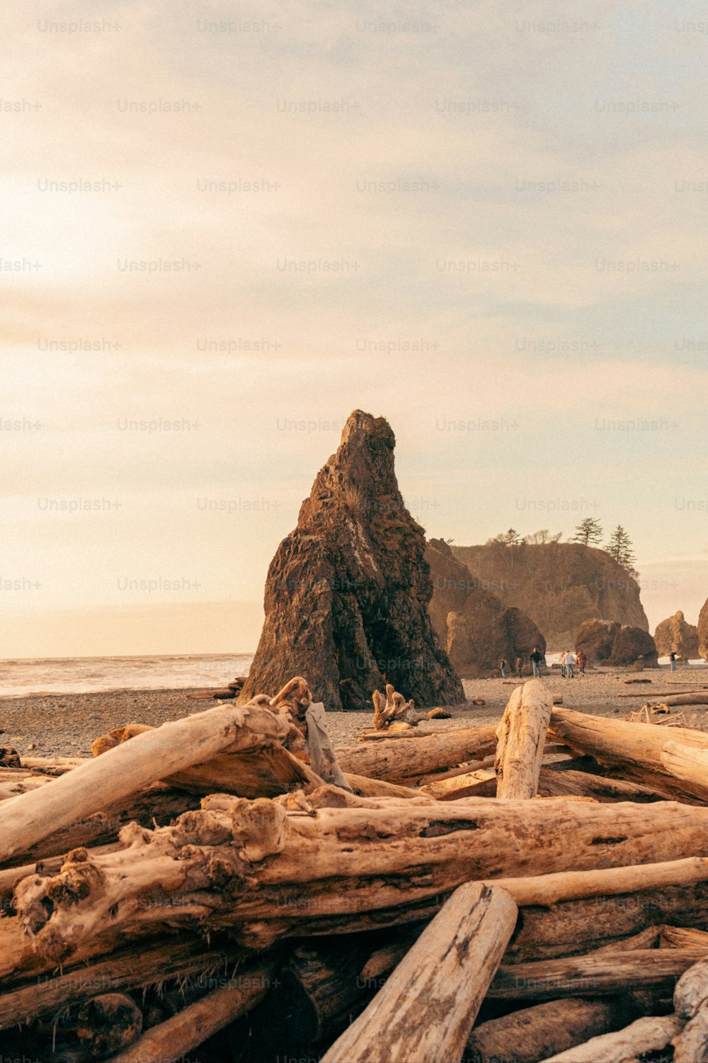 a pile of logs sitting on top of a beach