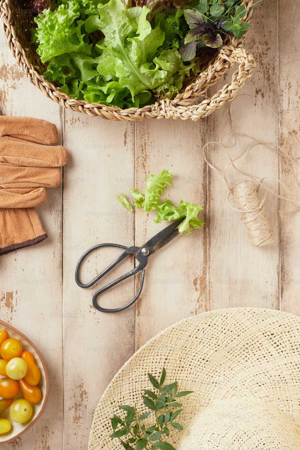 a basket of lettuce next to a hat and a pair of scissors