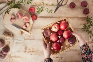 a person holding a basket of apples on a table