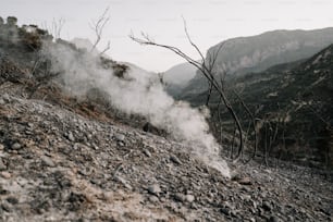 steam rises from the ground in the mountains