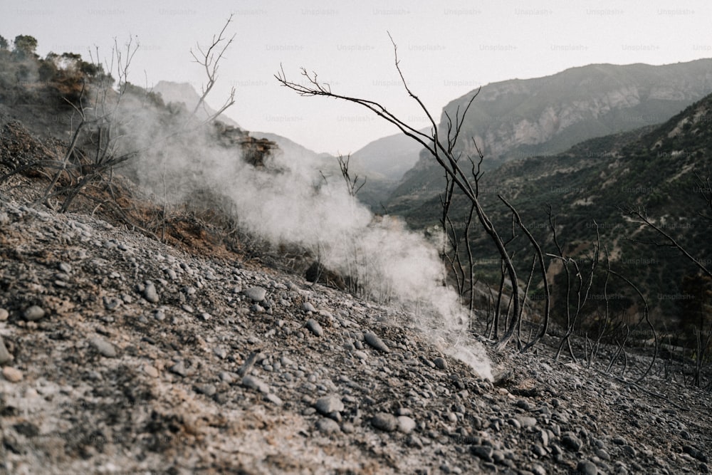 steam rises from the ground in the mountains