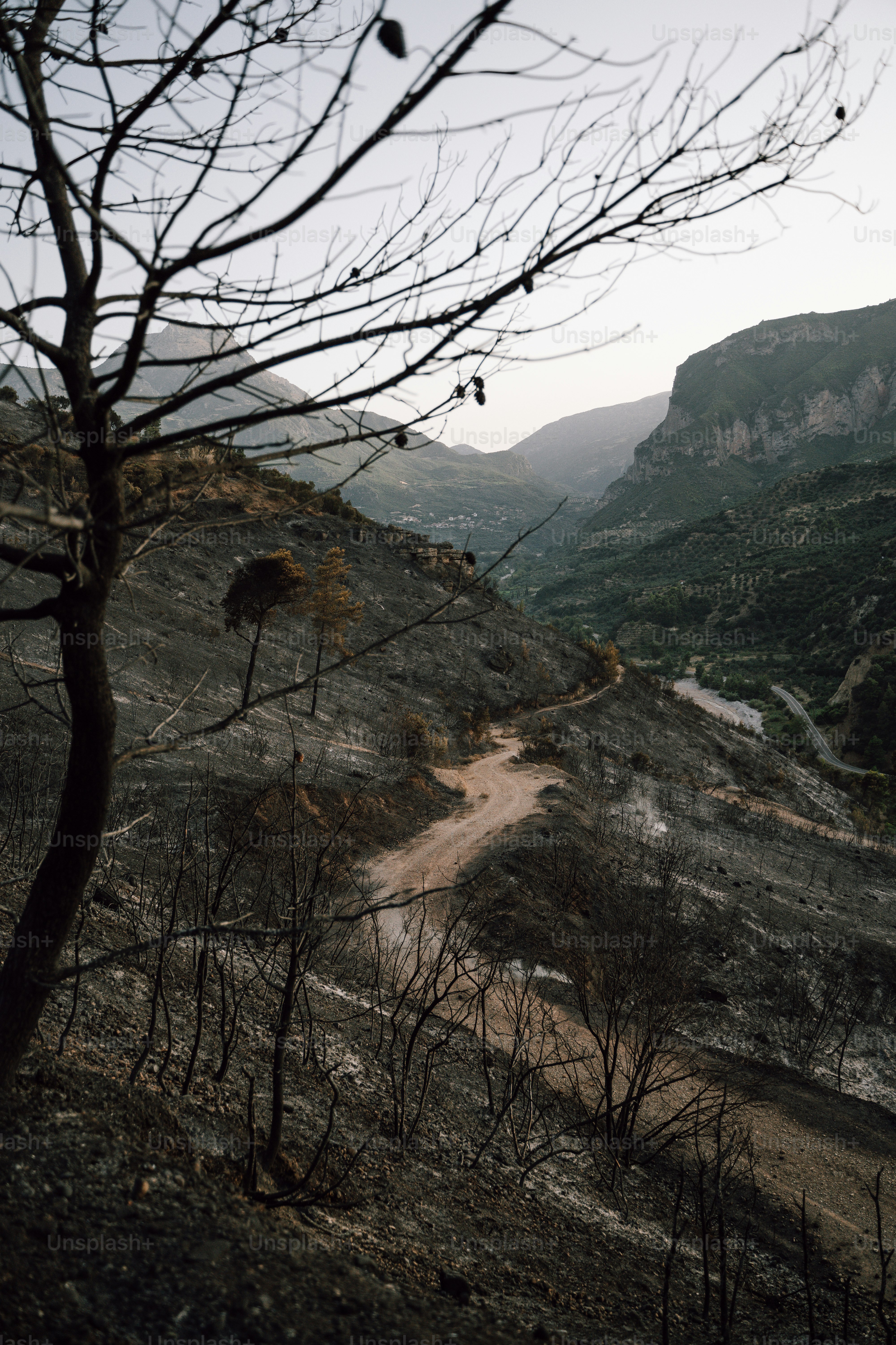 Un chemin de terre au milieu d’une montagne
