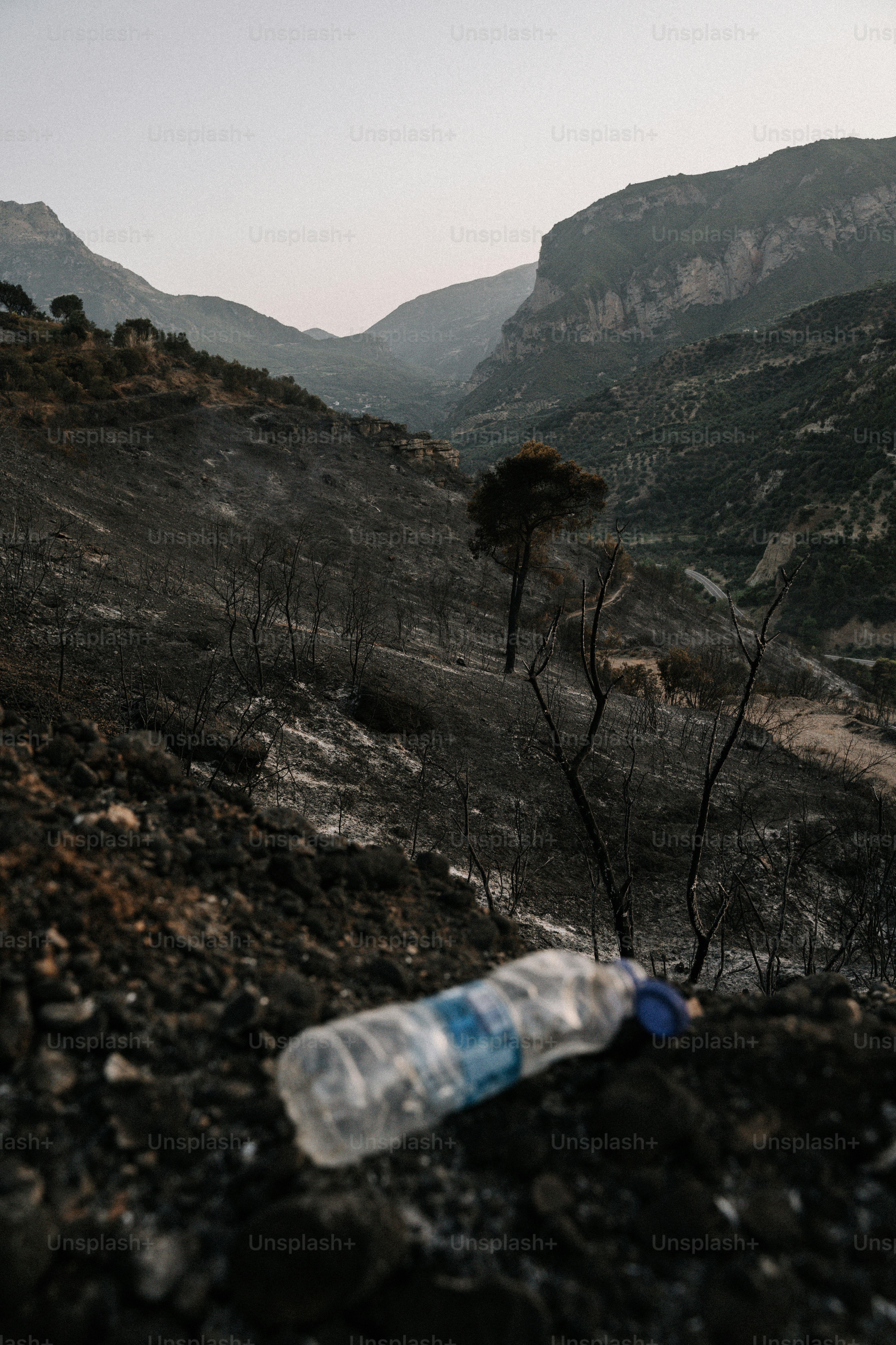a bottle of water sitting on top of a rocky hillside
