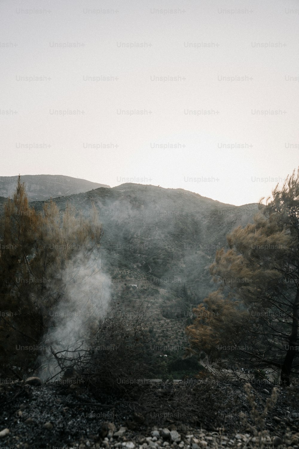 humo que sale de una boca de incendios en una ladera