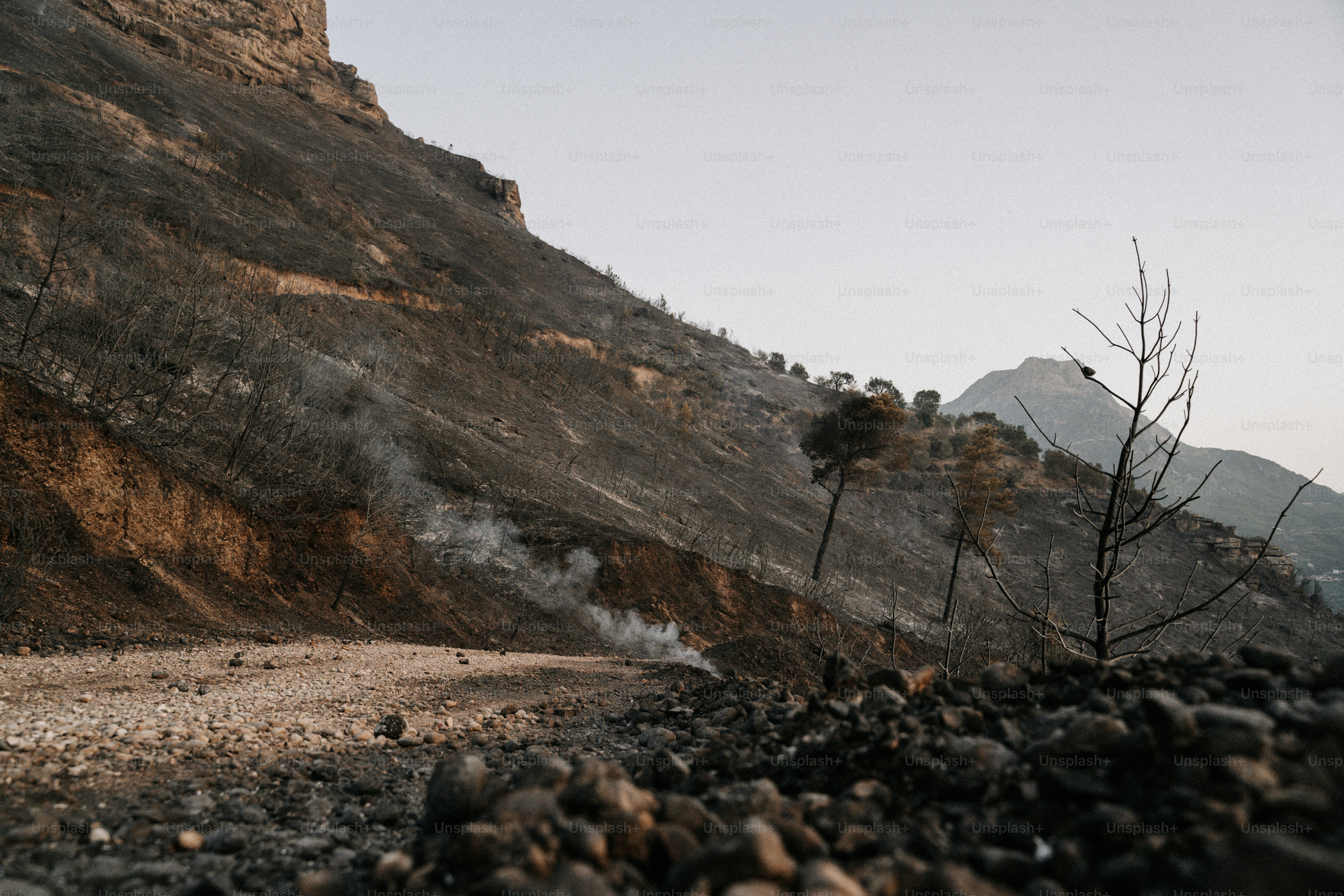 Un camino de tierra junto a una montaña cubierta de rocas