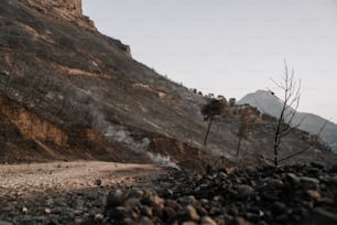 Un chemin de terre à côté d’une montagne couverte de rochers