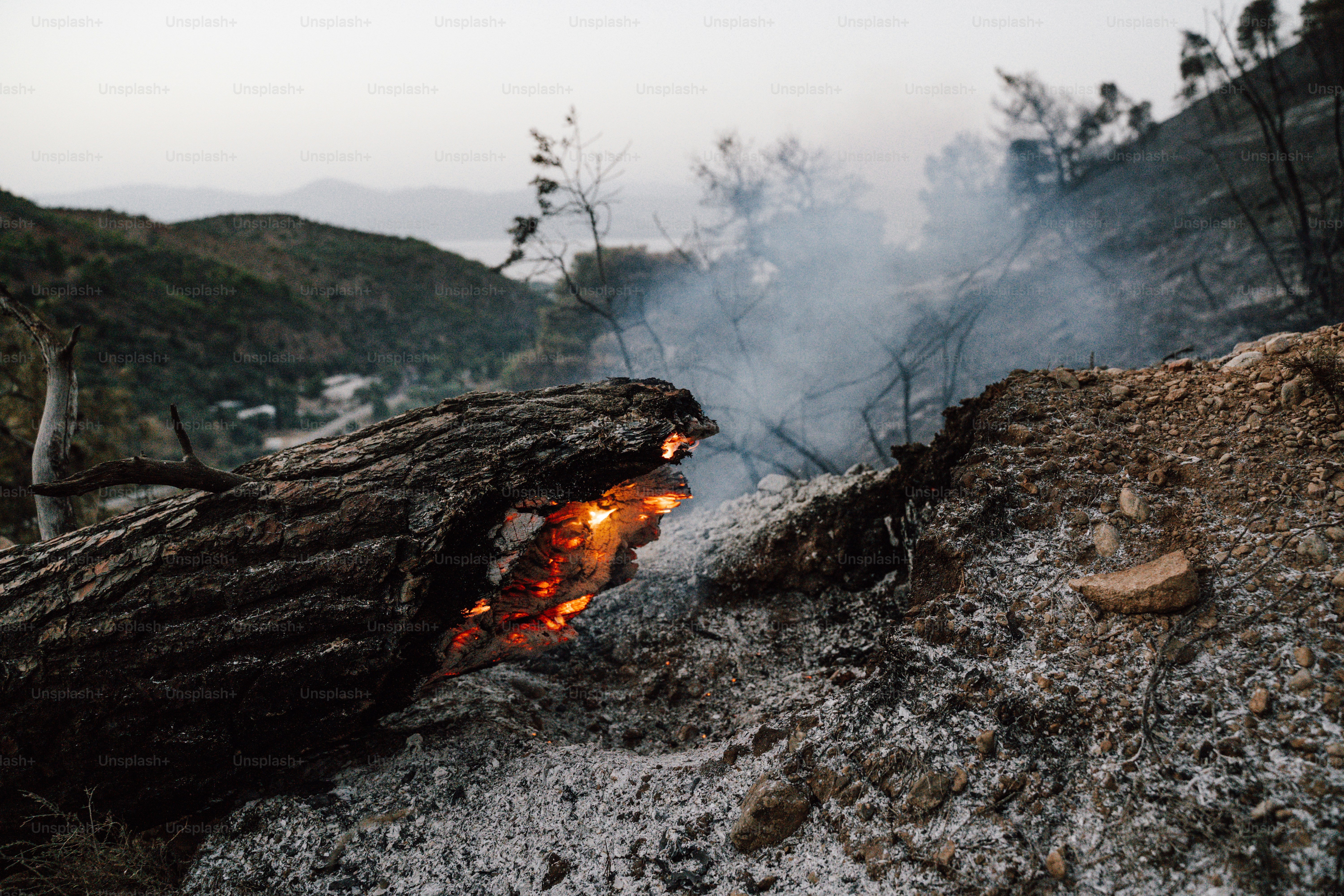 Un incendio ardiendo en medio de un bosque