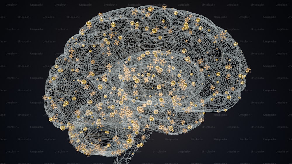 ein computergeneriertes Bild eines menschlichen Gehirns