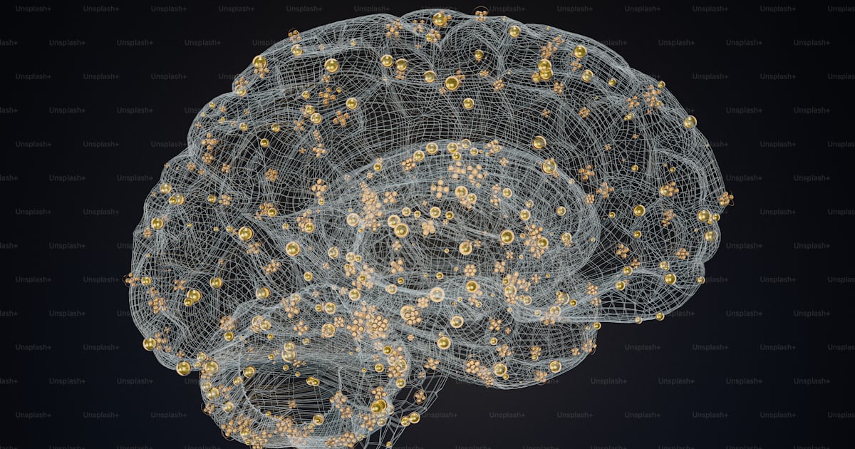 A computer generated image of a human brain photo – Interconnected ...
