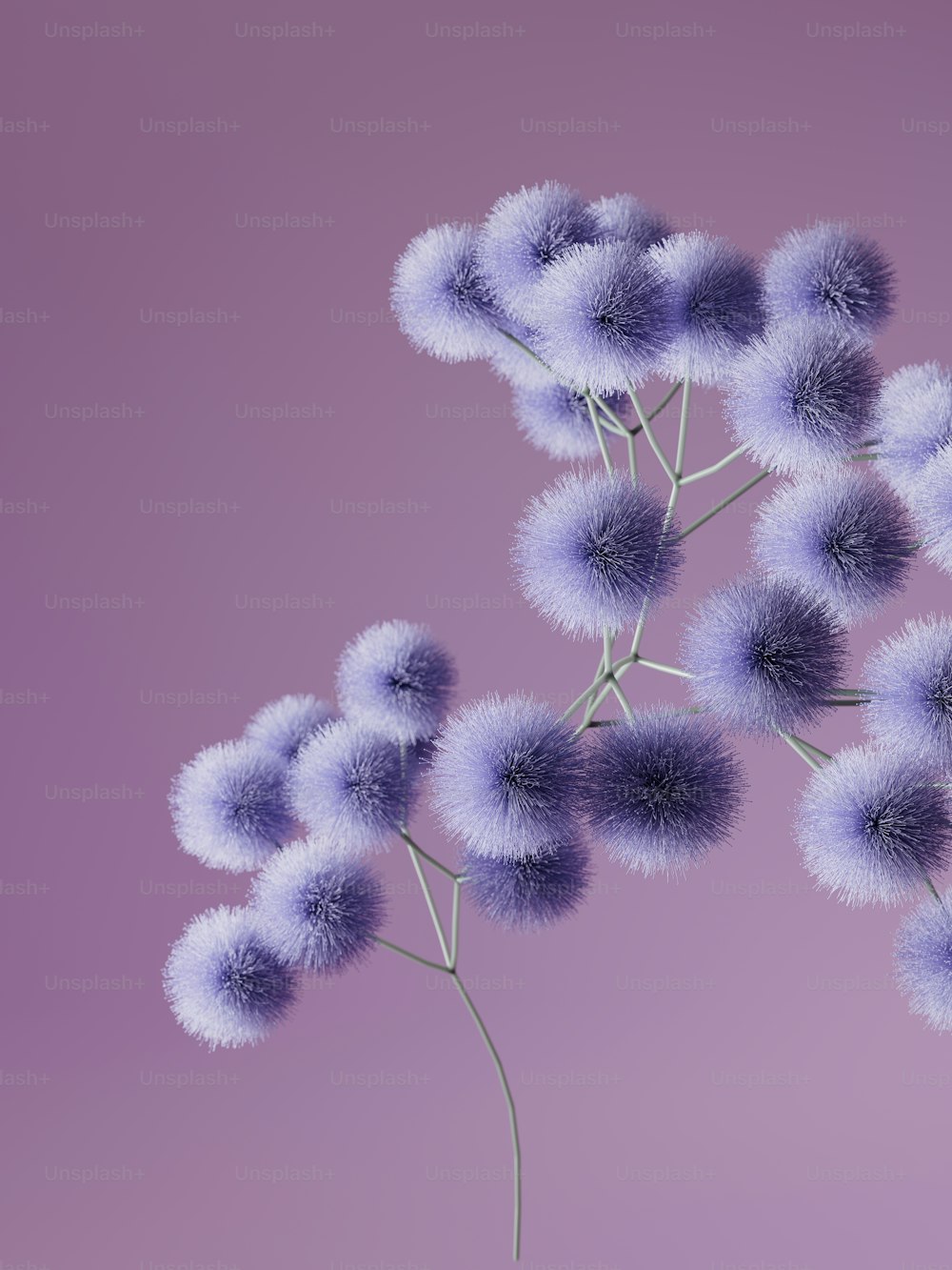 a bunch of purple flowers on a purple background