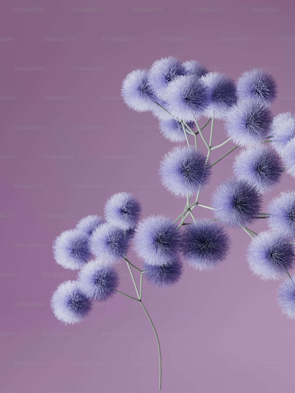 un mazzo di fiori viola su uno sfondo viola