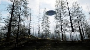 a frisbee flying through the air over a forest