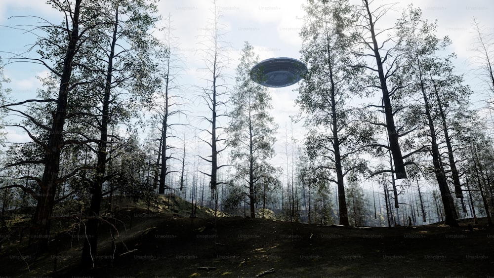 a frisbee flying through the air over a forest