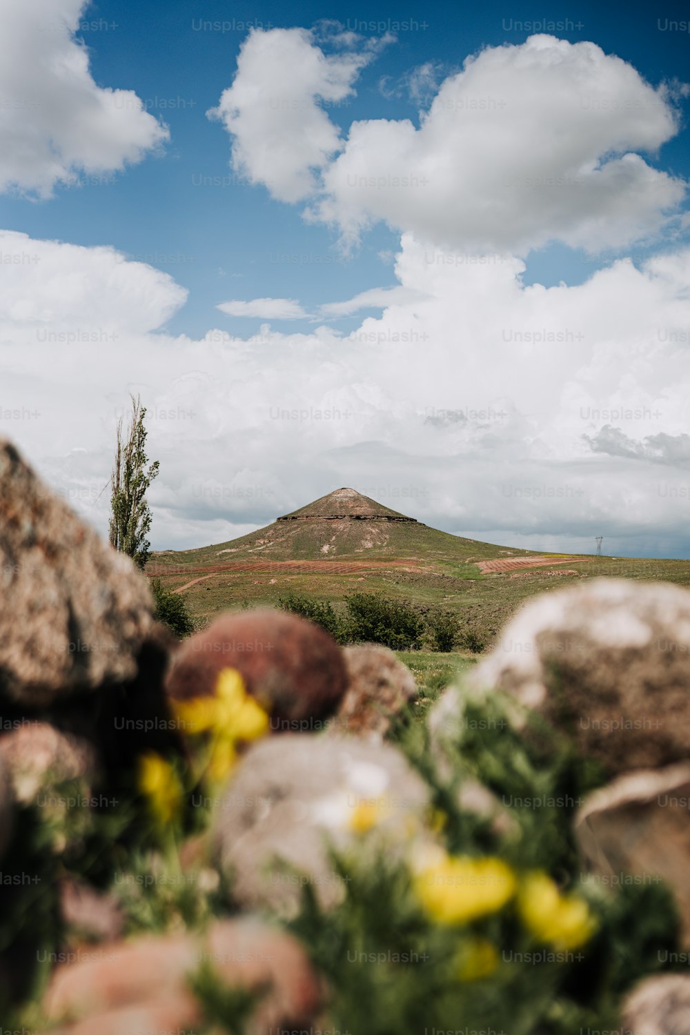 a field with rocks and flowers in the foreground