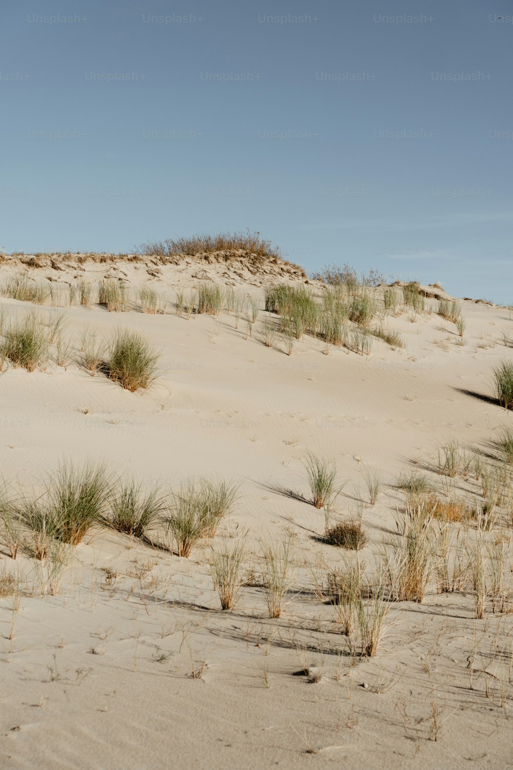 a person riding a horse on a sandy beach