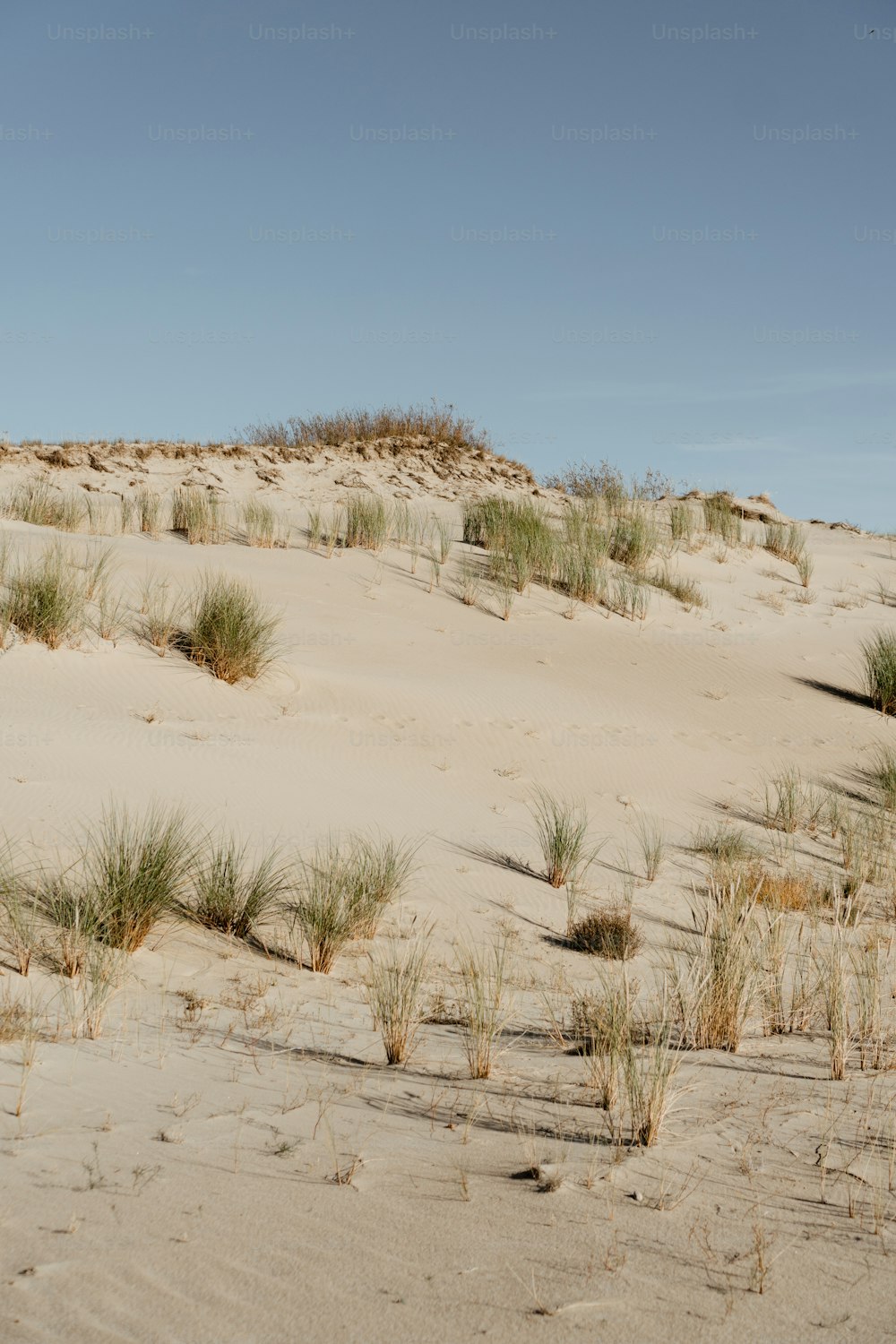 355,731 Beach Sand Dunes Royalty-Free Images, Stock Photos & Pictures
