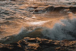 a large body of water near a rocky shore