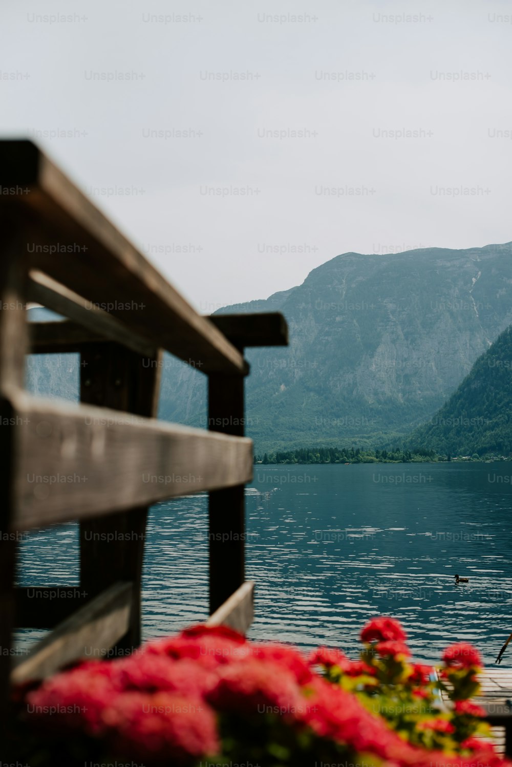 a wooden bench sitting next to a body of water