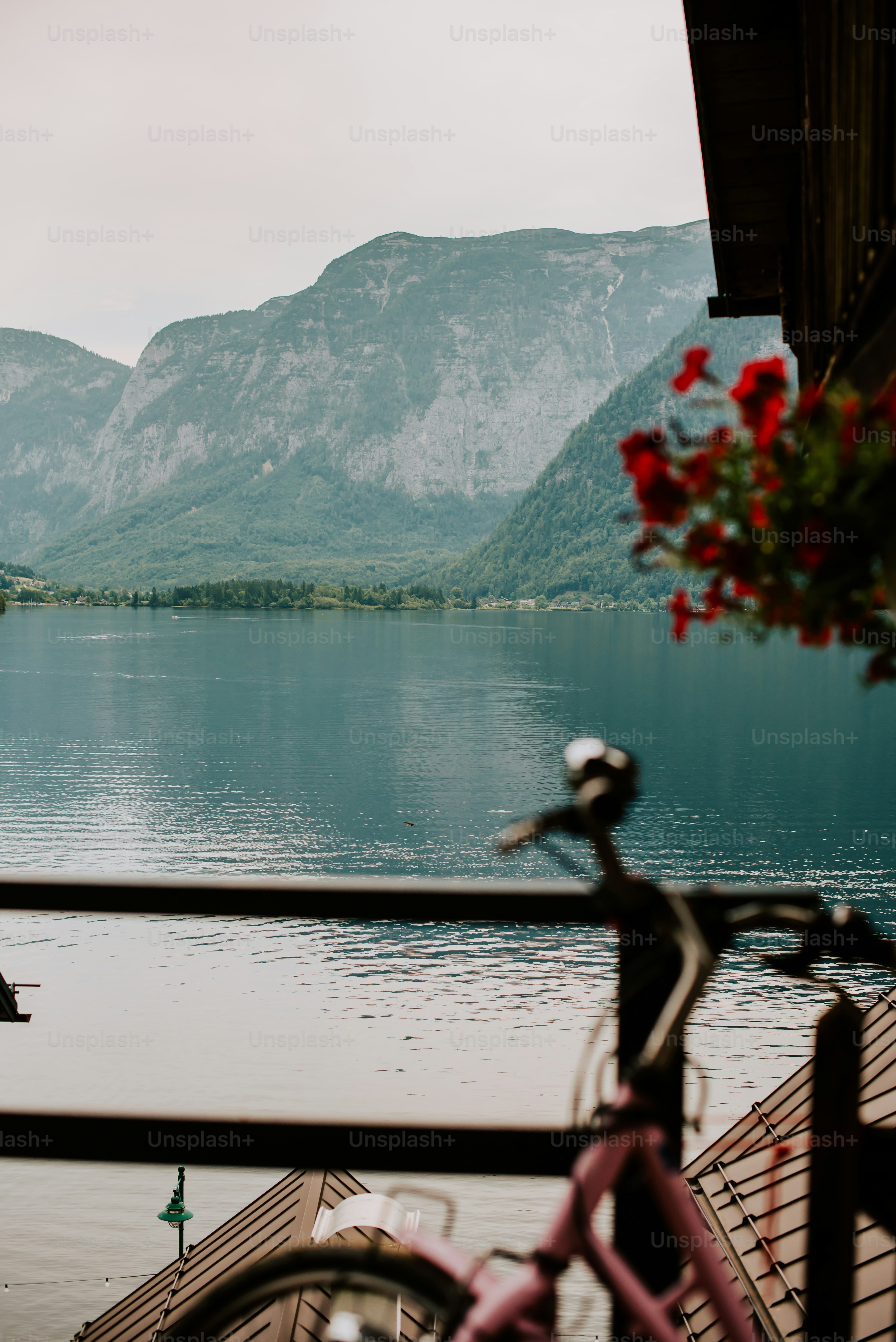 Una bicicleta rosa estacionada junto a una gran masa de agua
