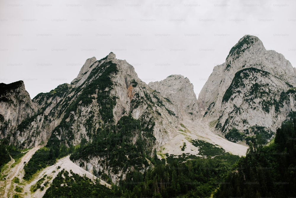 Un groupe de montagnes avec des arbres au premier plan