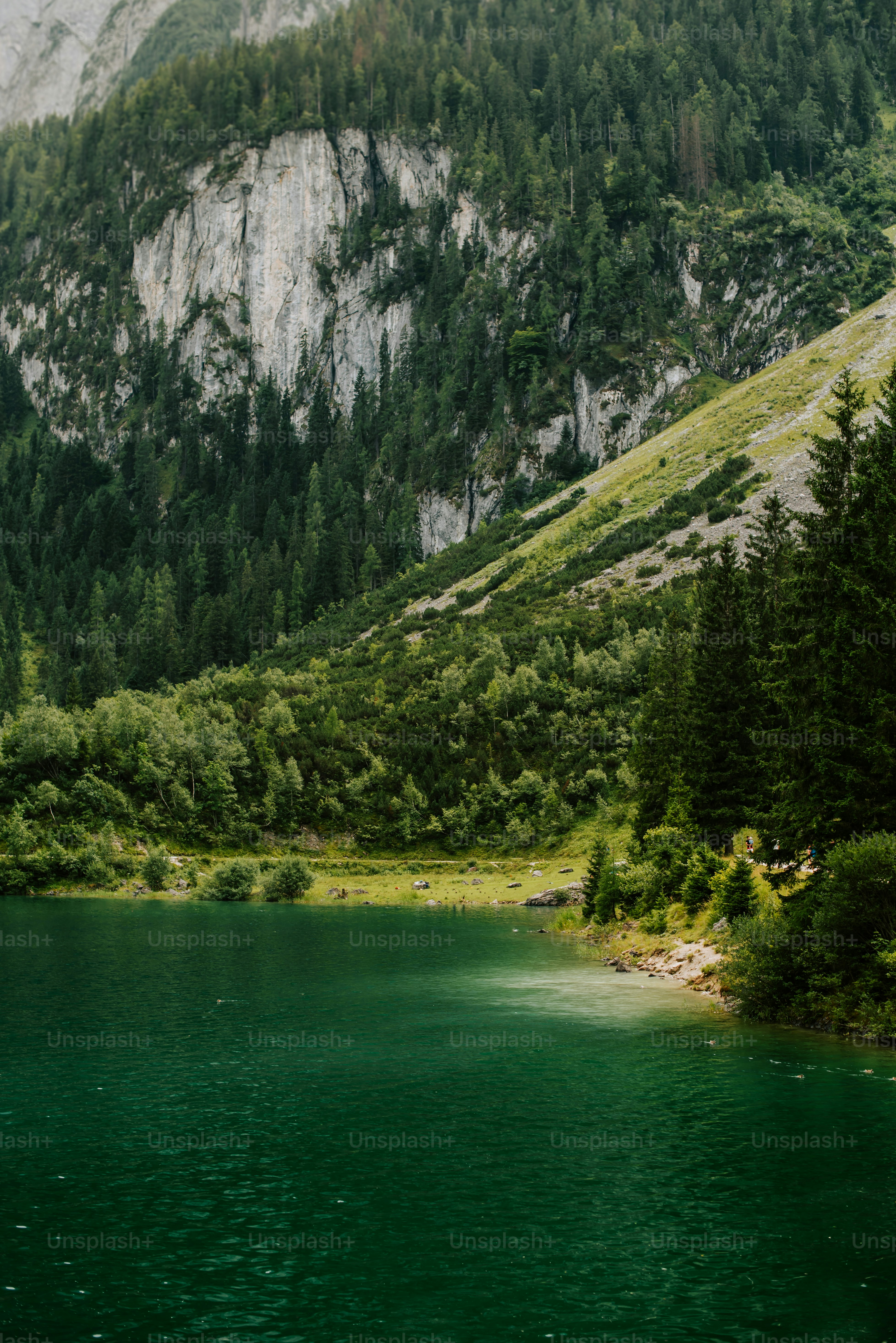 uno specchio d'acqua circondato da montagne e alberi