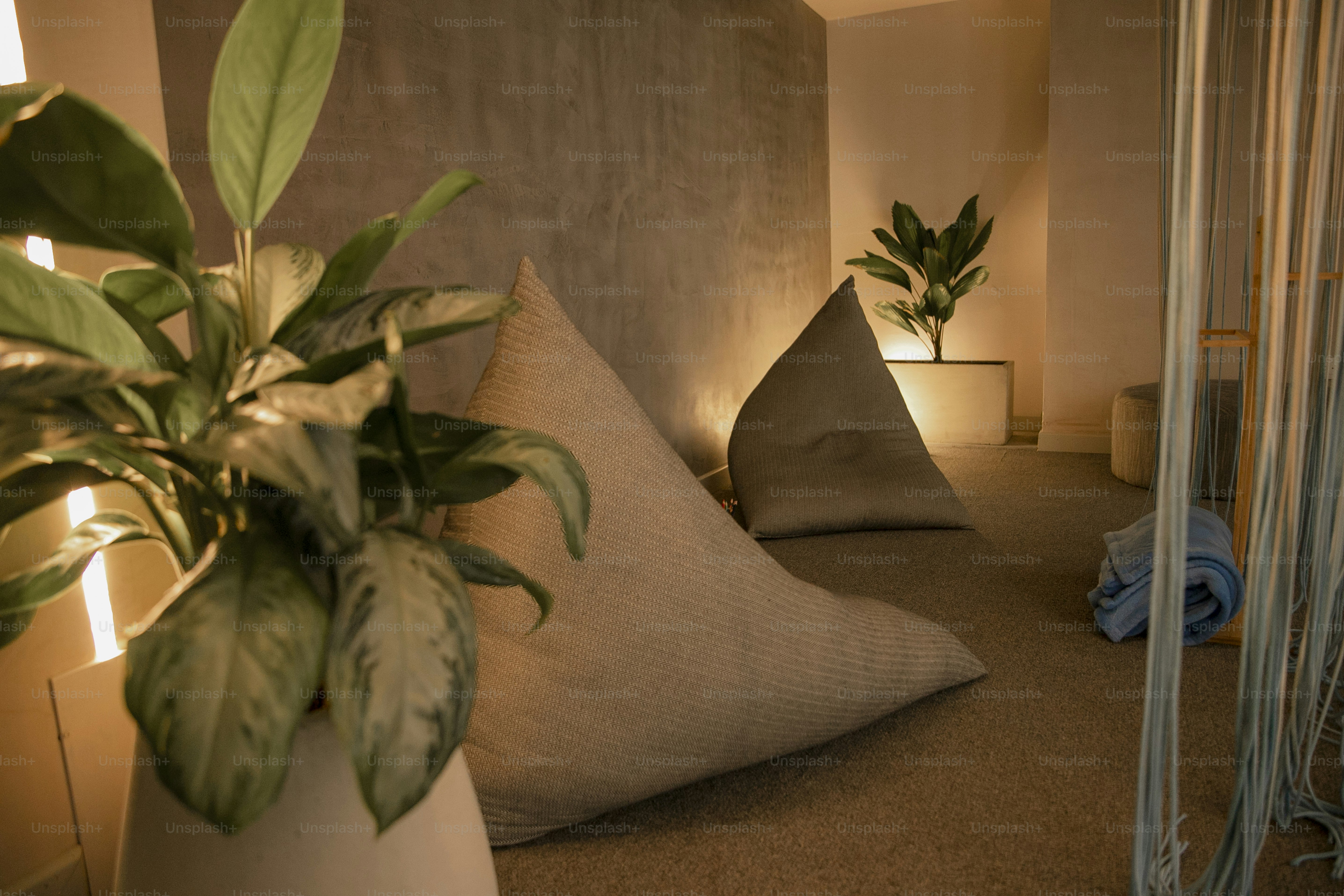 a plant in a white vase sitting on a bed